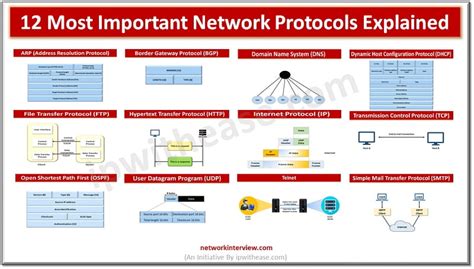 Image result for Computer Web and Protocols