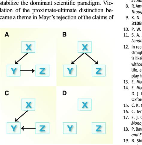 Toradh íomhá ar What Is a Direct Graph