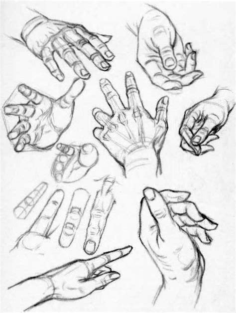 Toradh íomhá ar Artist Hand Reference