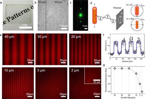 Toradh íomhá ar Liquid Crystal Polymer