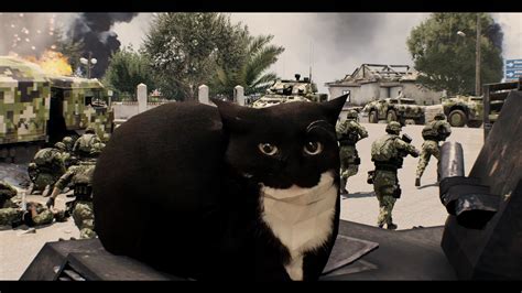 Image result for Evil Maxwell Cat