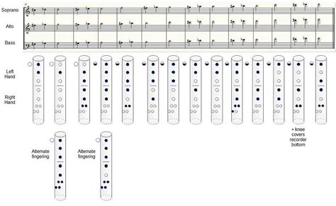 Image result for Recorder Notes's