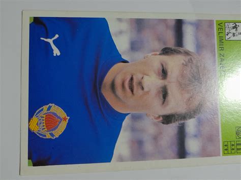 Zajec Zival に対する画像結果