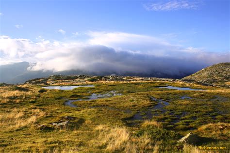 Toradh íomhá ar Triton ATM Machine