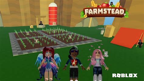 Farmstead Roblox Robin ಗಾಗಿ ಇಮೇಜ್ ಫಲಿತಾಂಶ