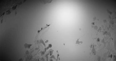 Quixel Logo に対する画像結果