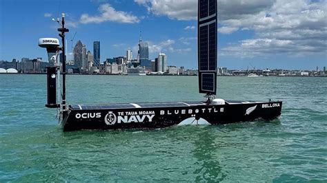 Image result for Navy Pier Claw Machine