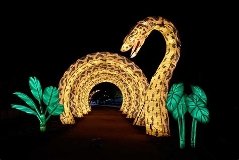 Image result for Snake Animal Light