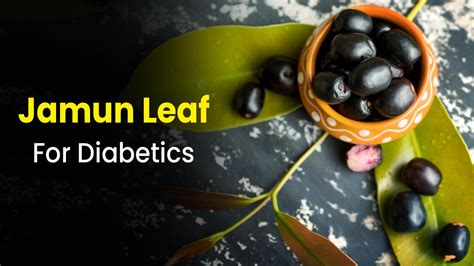 Image result for Jamun Leaf
