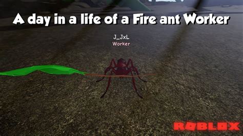 Fire Ant Roblox に対する画像結果