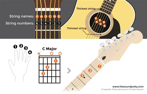 Image result for 12 String Guitar Labeled Diagram