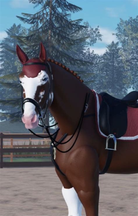 Horse System Roblox Studio に対する画像結果