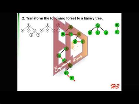 Image result for Transforming a Forest into a Binary Tree in Data Structure