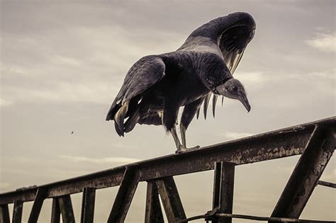 Afbeeldingsresultaten voor Basic jQuery Example