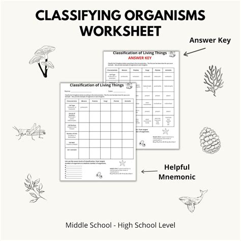 Toradh íomhá ar Classifying Worksheet