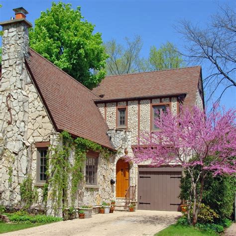 Image result for Eastern Redbud Tree