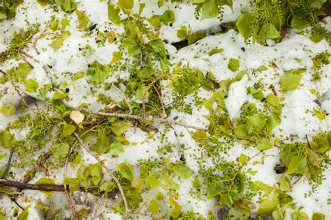 Toradh íomhá ar Catastrophe and Cataclysm Calamity Mod