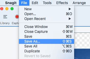 Toradh íomhá ar Snagit Editor Blur