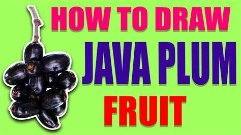 Image result for Java Plam