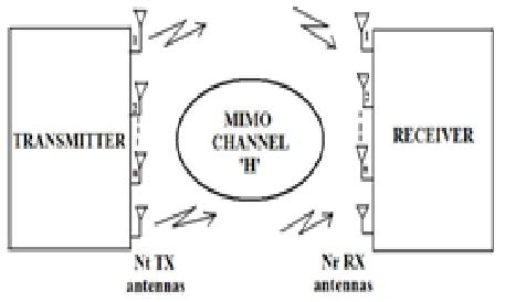 Image result for Mimo System Block Diagram