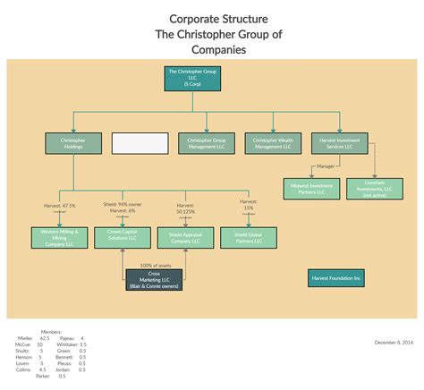 Image result for Ownership Structure Chart