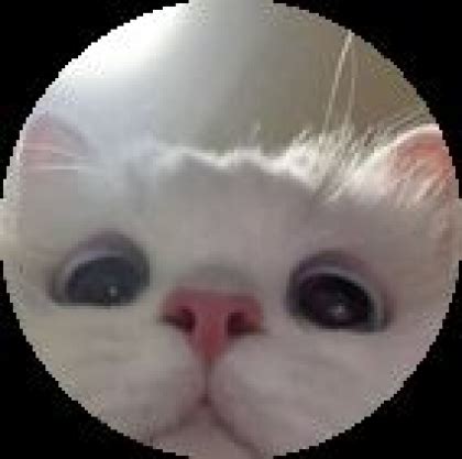 High Quality Roblox Morphs に対する画像結果