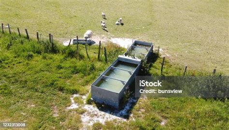 Image result for Connecting Water Trough in Field