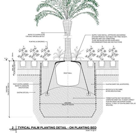 Cottonwood Tree Root System Diagram に対する画像結果