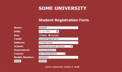 Toradh íomhá ar Student Registration Form in HTML with Two Field