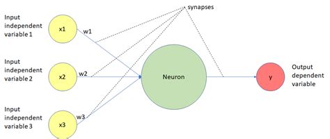 Image result for What Are the Lines Which Connect Neuron in Deep Learning