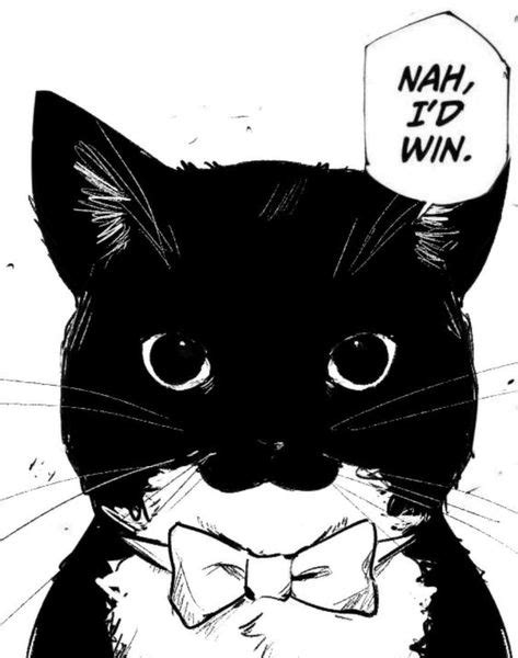 Image result for Evil Maxwell Cat