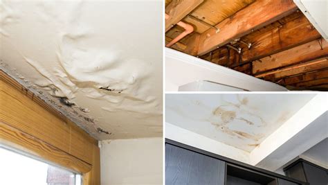 Roof Leak Detection: Strategies to Prevent Water Damage