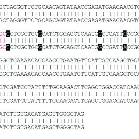 Toradh íomhá ar Contig Alignment Diagram