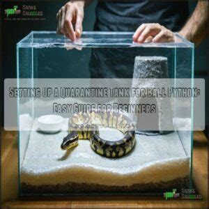 Image result for Ball Python Tank Ground