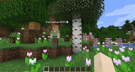 Image result for Minecraft Voice Mod