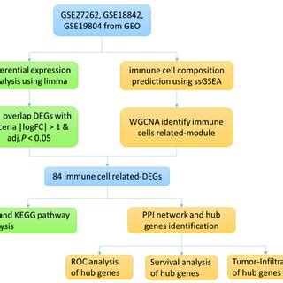 Image result for Research Protocol Flow Chart