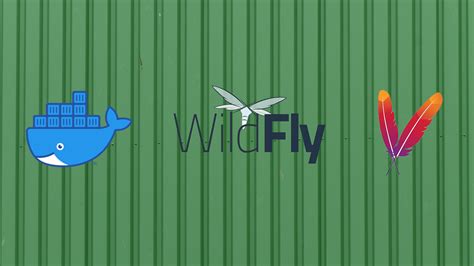 Image result for WildFly IntelliJ