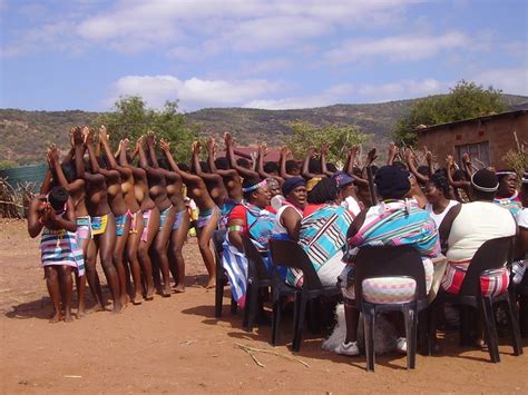 Afbeeldingsresultaten voor Domber Python Dance