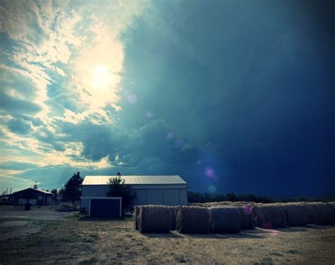 Image result for Victor Frankl Out of My Control