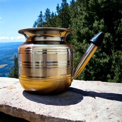 Image result for Neti Pot Images