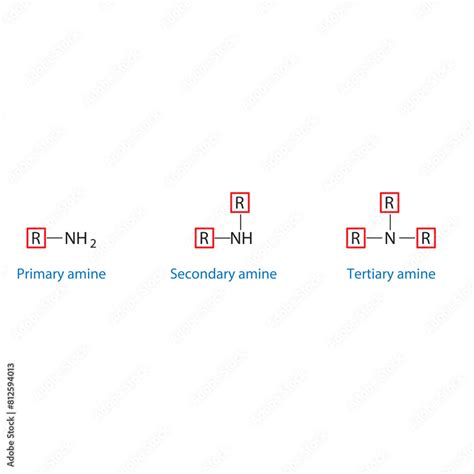 Primary Coding Structure కోసం చిత్ర ఫలితం