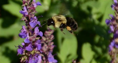 Image result for 4-to-2 Priority Encoder