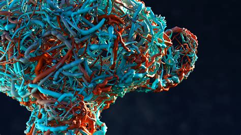 Image result for Blender Geo Nodes