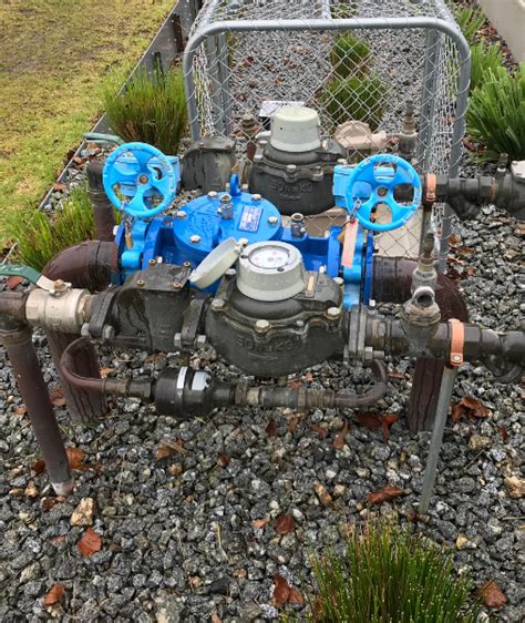 Testable Backflow Device に対する画像結果