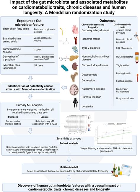 Image result for Mendelian Randomization Studies