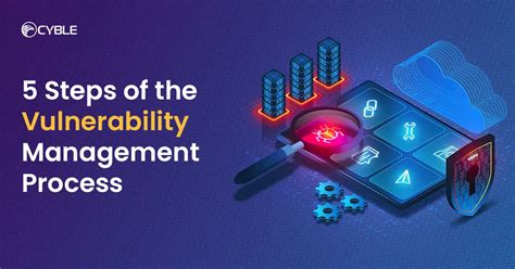 Toradh íomhá ar Vulnerability Management Process Steps