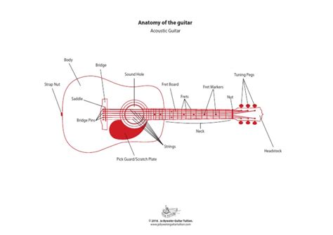 Image result for 12 String Guitar Labeled Diagram