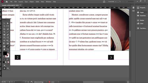 Image result for How to Number Pages in InDesign