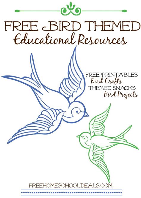 Image result for Free Bird Lesson