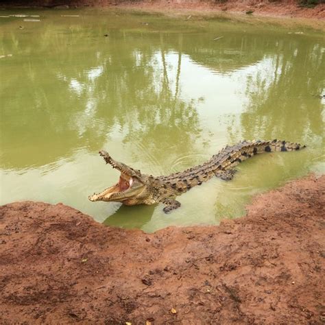 Source Code Lab に対する画像結果